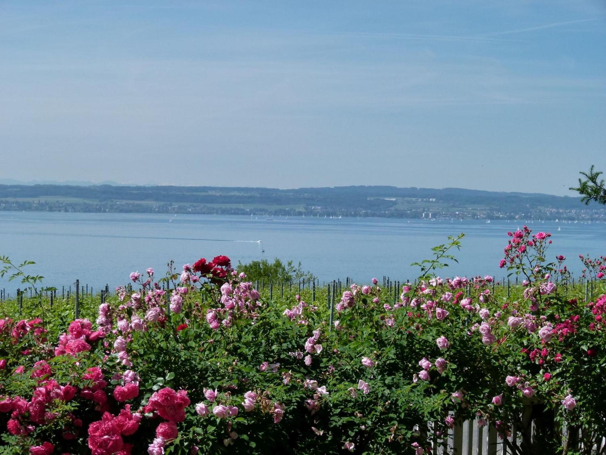 Abc Ferienwohnungen Abc Wohnung A Meersburg Exterior photo